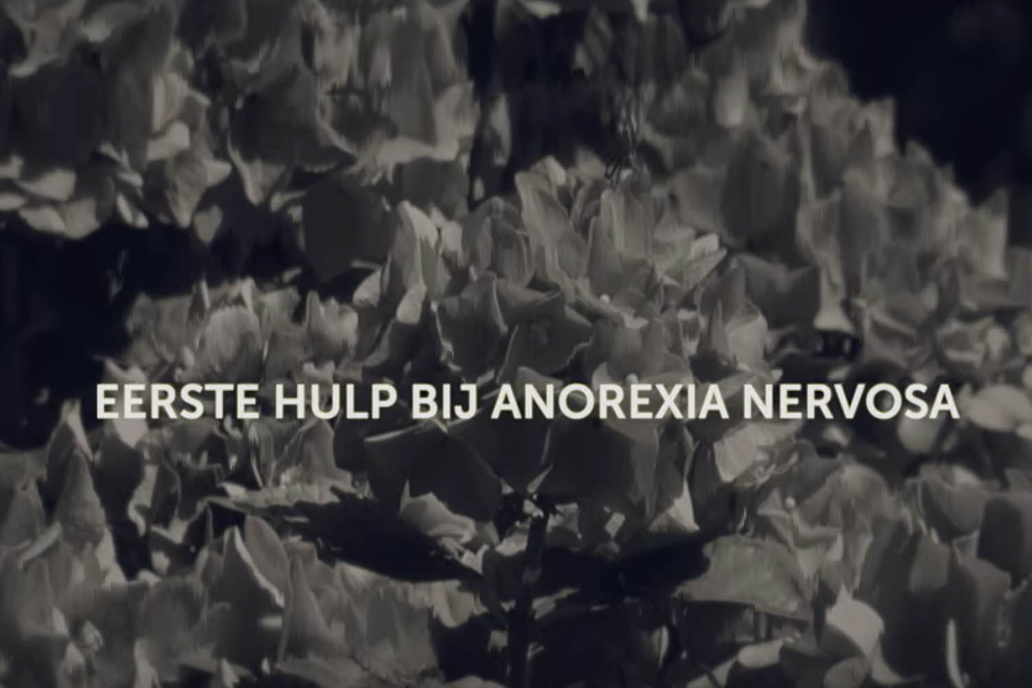 Eerste Hulp bij Anorexia Nervosa | Voor ouders